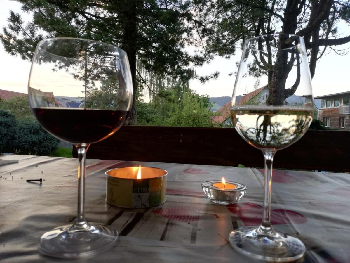 Ferienwohnung Bliem Feldkirchen In Kaernten Luaran gambar